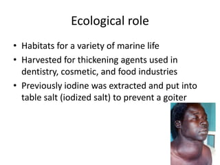 Ecological role
• Habitats for a variety of marine life
• Harvested for thickening agents used in
  dentistry, cosmetic, a...