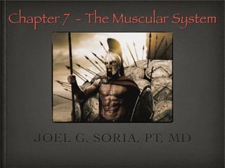 JOEL G. SORIA, PT, MD
Chapter 7 - The Muscular System
 