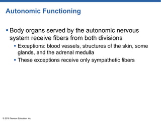 Autonomic Functioning
 Body organs served by the autonomic nervous
system receive fibers from both divisions
 Exceptions: blood vessels, structures of the skin, some
glands, and the adrenal medulla
 These exceptions receive only sympathetic fibers
© 2018 Pearson Education, Inc.
 