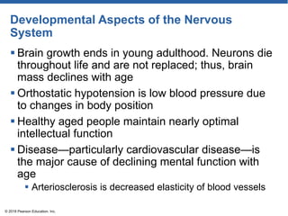Developmental Aspects of the Nervous
System
 Brain growth ends in young adulthood. Neurons die
throughout life and are not replaced; thus, brain
mass declines with age
 Orthostatic hypotension is low blood pressure due
to changes in body position
 Healthy aged people maintain nearly optimal
intellectual function
 Disease—particularly cardiovascular disease—is
the major cause of declining mental function with
age
 Arteriosclerosis is decreased elasticity of blood vessels
© 2018 Pearson Education, Inc.
 