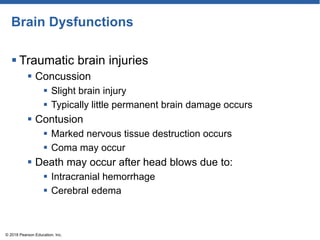 Brain Dysfunctions
 Traumatic brain injuries
 Concussion
 Slight brain injury
 Typically little permanent brain damage occurs
 Contusion
 Marked nervous tissue destruction occurs
 Coma may occur
 Death may occur after head blows due to:
 Intracranial hemorrhage
 Cerebral edema
© 2018 Pearson Education, Inc.
 