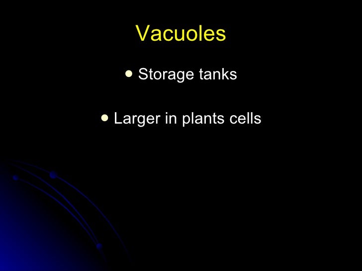 Chapter 7 Notes - Cells