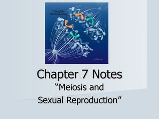 “ Meiosis and Sexual Reproduction” Chapter 7 Notes 