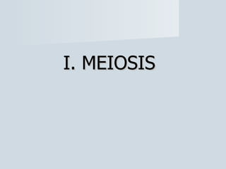 I. MEIOSIS 