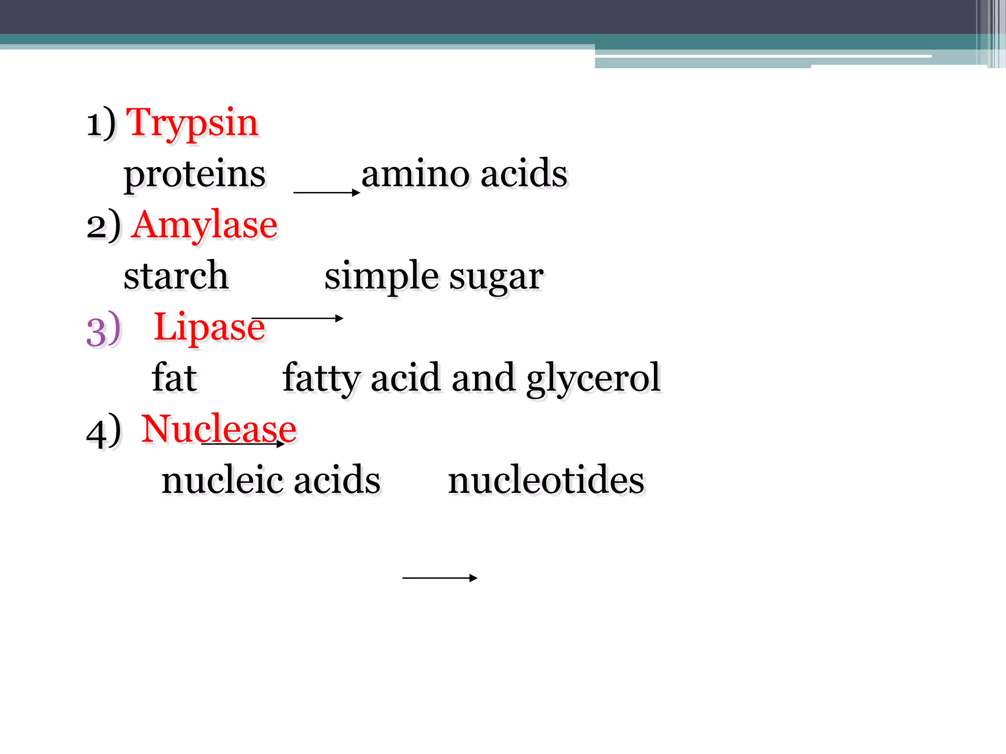 1) Trypsin
   proteins       amino acids
2) Amylase
   starch       simple sugar
3) Lipase
     fat     fatty acid and glycerol
4) Nuclease
      nucleic acids     nucleotides
 