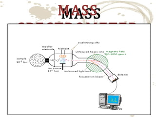 MASS
MASS
SPECTROMETER
SPECTROMETER

 