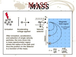 MASS
MASS
SPECTROMETER
SPECTROMETER

 