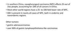 • In southern China, nasopharyngeal carcinoma (NPC) affects 25 out of
1lac people, accounting for 18% of all cancers in China.
• Most other world regions have a 25- to 100-fold lower rate of NPC.
• EBV is present in nearly all cases of NPC, both in endemic and
nonendemic regions
Other tumors-
• gastric adenocarcinomas
• over 90% of gastric lymphoepithelioma-like carcinomas
 