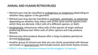 ANIMAL AND HUMAN RETROVIRUSES
• Retroviruses may be classified as endogenous or exogenous depending on
whether they appear in the germline
• Retroviruses may also be classified as ecotropic, xenotropic, or polytropic
depending on whether they infect cells of the same animal species from
which they are derived, infect cells of a different species, or both.
• Amphotropic retroviruses infect cells of the species of origin without
producing disease but infect cells of other species and may produce
disease.
• Retroviruses that produce disease after a long incubation period are
termed lentiviruses
• Another group of retroviruses that are not clearly associated with disease
are known as spumaviruses and include human and simian foamy viruses.
• HTLV1 is the only retrovirus known to be oncogenic in humans.
 