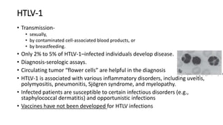 HTLV-1
• Transmission-
• sexually,
• by contaminated cell-associated blood products, or
• by breastfeeding.
• Only 2% to 5% of HTLV-1–infected individuals develop disease.
• Diagnosis-serologic assays.
• Circulating tumor “flower cells” are helpful in the diagnosis
• HTLV-1 is associated with various inflammatory disorders, including uveitis,
polymyositis, pneumonitis, Sjögren syndrome, and myelopathy.
• Infected patients are susceptible to certain infectious disorders (e.g.,
staphylococcal dermatitis) and opportunistic infections
• Vaccines have not been developed for HTLV infections
 
