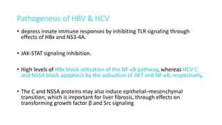 Pathogenesis of HBV & HCV
• depress innate immune responses by inhibiting TLR signaling through
effects of HBx and NS3-4A.
• JAK-STAT signaling inhibition.
• High levels of HBx block activation of the NF-κB pathway, whereas HCV C
and NS5A block apoptosis by the activation of AKT and NF-κB, respectively.
• The C and NS5A proteins may also induce epithelial–mesenchymal
transition, which is important for liver fibrosis, through effects on
transforming growth factor β and Src signaling
 