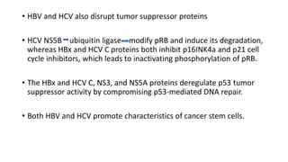• HBV and HCV also disrupt tumor suppressor proteins
• HCV NS5B ubiquitin ligase modify pRB and induce its degradation,
whereas HBx and HCV C proteins both inhibit p16INK4a and p21 cell
cycle inhibitors, which leads to inactivating phosphorylation of pRB.
• The HBx and HCV C, NS3, and NS5A proteins deregulate p53 tumor
suppressor activity by compromising p53-mediated DNA repair.
• Both HBV and HCV promote characteristics of cancer stem cells.
 