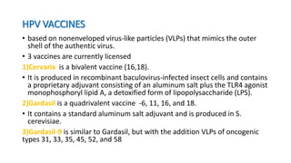 HPV VACCINES
• based on nonenveloped virus-like particles (VLPs) that mimics the outer
shell of the authentic virus.
• 3 vaccines are currently licensed
1)Cervarix is a bivalent vaccine (16,18).
• It is produced in recombinant baculovirus-infected insect cells and contains
a proprietary adjuvant consisting of an aluminum salt plus the TLR4 agonist
monophosphoryl lipid A, a detoxified form of lipopolysaccharide (LPS).
2)Gardasil is a quadrivalent vaccine -6, 11, 16, and 18.
• It contains a standard aluminum salt adjuvant and is produced in S.
cerevisiae.
3)Gardasil-9 is similar to Gardasil, but with the addition VLPs of oncogenic
types 31, 33, 35, 45, 52, and 58
 