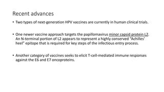 Recent advances
• Two types of next-generation HPV vaccines are currently in human clinical trials.
• One newer vaccine approach targets the papillomavirus minor capsid protein L2.
An N-terminal portion of L2 appears to represent a highly conserved “Achilles’
heel” epitope that is required for key steps of the infectious entry process.
• Another category of vaccines seeks to elicit T-cell-mediated immune responses
against the E6 and E7 oncoproteins.
 