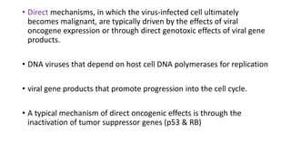 • Direct mechanisms, in which the virus-infected cell ultimately
becomes malignant, are typically driven by the effects of viral
oncogene expression or through direct genotoxic effects of viral gene
products.
• DNA viruses that depend on host cell DNA polymerases for replication
• viral gene products that promote progression into the cell cycle.
• A typical mechanism of direct oncogenic effects is through the
inactivation of tumor suppressor genes (p53 & RB)
 