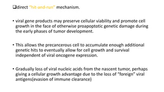 direct “hit-and-run” mechanism.
• viral gene products may preserve cellular viability and promote cell
growth in the face of otherwise proapoptotic genetic damage during
the early phases of tumor development.
• This allows the precancerous cell to accumulate enough additional
genetic hits to eventually allow for cell growth and survival
independent of viral oncogene expression.
• Gradually loss of viral nucleic acids from the nascent tumor, perhaps
giving a cellular growth advantage due to the loss of “foreign” viral
antigens(evasion of immune clearance)
 