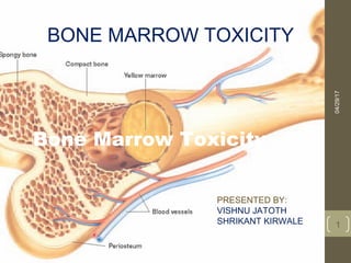 Bone Marrow Toxicity
04/29/17bonemarrowtoxicity
1
BONE MARROW TOXICITY
PRESENTED BY:
VISHNU JATOTH
SHRIKANT KIRWALE
 