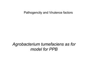 Pathogencity and Virulence factors
Agrobacterium tumefaciens as for
model for PPB
 