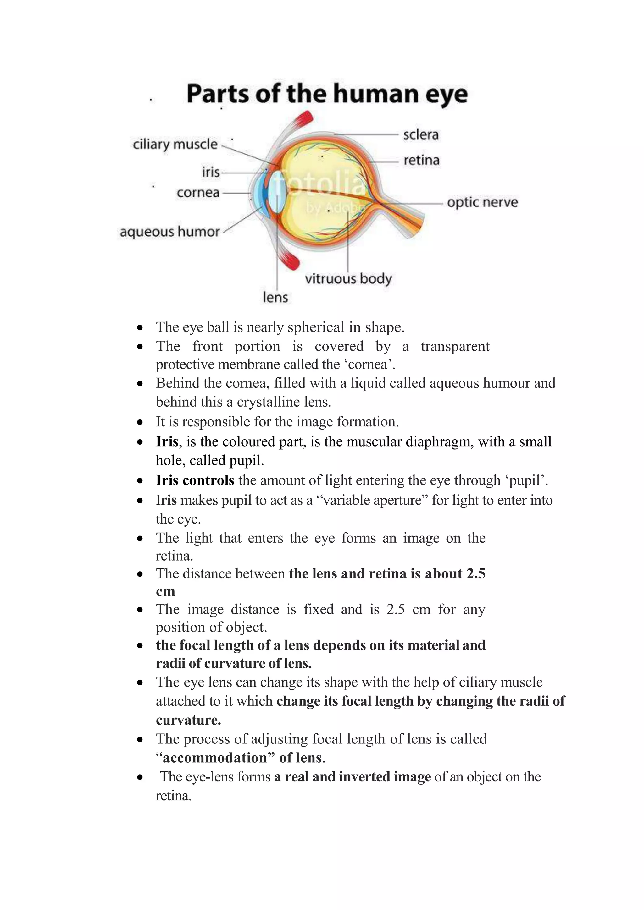 • The eye ball is nearly spherical in shape.
• The front portion is covered by a transparent
protective membrane called the ‘cornea’.
• Behind the cornea, filled with a liquid called aqueous humour and
behind this a crystalline lens.
• It is responsible for the image formation.
• Iris, is the coloured part, is the muscular diaphragm, with a small
hole, called pupil.
• Iris controls the amount of light entering the eye through ‘pupil’.
• Iris makes pupil to act as a “variable aperture” for light to enter into
the eye.
• The light that enters the eye forms an image on the
retina.
• The distance between the lens and retina is about 2.5
cm
• The image distance is fixed and is 2.5 cm for any
position of object.
• the focal length of a lens depends on its material and
radii of curvature of lens.
• The eye lens can change its shape with the help of ciliary muscle
attached to it which change its focal length by changing the radii of
curvature.
• The process of adjusting focal length of lens is called
“accommodation” of lens.
• The eye-lens forms a real and inverted image of an object on the
retina.
 
