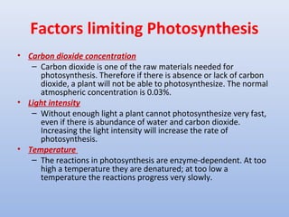 Factors limiting Photosynthesis
• Carbon dioxide concentration
– Carbon dioxide is one of the raw materials needed for
photosynthesis. Therefore if there is absence or lack of carbon
dioxide, a plant will not be able to photosynthesize. The normal
atmospheric concentration is 0.03%.
• Light intensity
– Without enough light a plant cannot photosynthesize very fast,
even if there is abundance of water and carbon dioxide.
Increasing the light intensity will increase the rate of
photosynthesis.
• Temperature
– The reactions in photosynthesis are enzyme-dependent. At too
high a temperature they are denatured; at too low a
temperature the reactions progress very slowly.
 