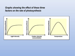 Graphs showing the effect of these three
factors on the rate of photosynthesis
 