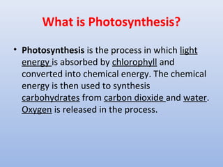 What is Photosynthesis?
• Photosynthesis is the process in which light
energy is absorbed by chlorophyll and
converted into chemical energy. The chemical
energy is then used to synthesis
carbohydrates from carbon dioxide and water.
Oxygen is released in the process.
 