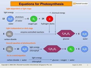 Light-dependent or light stage
Light-independent or dark stage
light energy chemical energy
H2O12
photolysis
of water
O2
6 + 24 H
water oxygen gas hydrogen atoms
CO2
6 H2O6
watercarbon dioxide
enzyme-controlled reactions
C6H12O6
glucose
+
Overall equation of photosynthesis
CO2
6 + H2O12
light energy
chlorophyll
C6H12O6 + O2
6 H2O6+
Or as a word equation
carbon dioxide + water glucose + oxygen + water
light energy
chlorophyll
Equations for Photosynthesis
August 14, 2013Copyright © 2006-2011 Marshall Cavendish International (Singapore) Pte. Ltd. 6
 