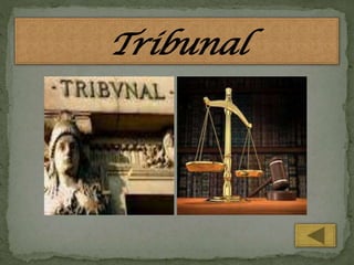 Tribunal

 