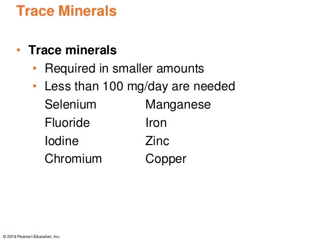 Chapter 7 Power Point