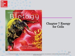 7-1
Copyright © McGraw-Hill Education. All rights reserved. Authorized only for instructor use in the classroom. No reproduction or distribution without the prior written consent of
McGraw-Hill Education.
Chapter 7 Energy
for Cells
 
