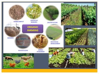 Chapter 7 powerpoint | PPTX