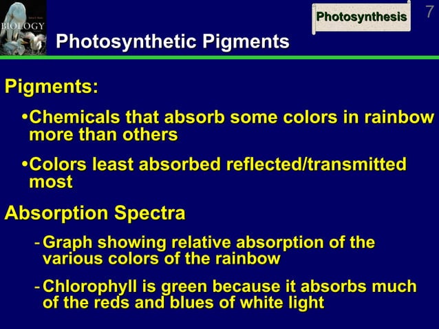 Chapter 7 Powerpoint Le | PPT