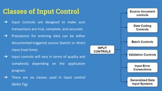 Input Control Process Effectores IT Revision and Auditing | PDF