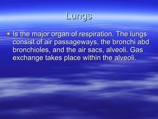Lungs Is the major organ of respiration. The lungs consist of air passageways, the bronchi abd bronchioles, and the air sacs, alveoli. Gas exchange takes place within the alveoli. 