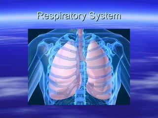 Respiratory System 