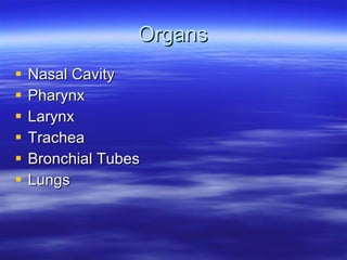 Organs Nasal Cavity Pharynx Larynx Trachea Bronchial Tubes Lungs 