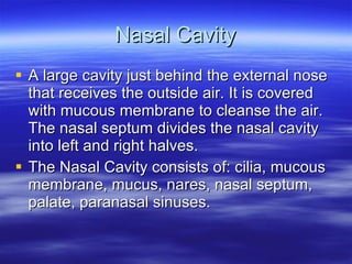 Nasal Cavity A large cavity just behind the external nose that receives the outside air. It is covered with mucous membrane to cleanse the air. The nasal septum divides the nasal cavity into left and right halves.  The Nasal Cavity consists of: cilia, mucous membrane, mucus, nares, nasal septum, palate, paranasal sinuses. 
