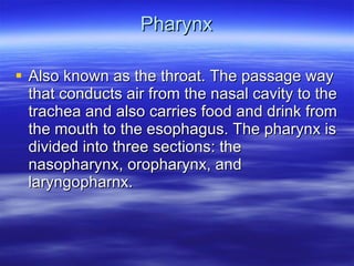 Pharynx Also known as the throat. The passage way that conducts air from the nasal cavity to the trachea and also carries food and drink from the mouth to the esophagus. The pharynx is divided into three sections: the nasopharynx, oropharynx, and laryngopharnx. 