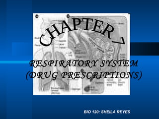 CHAPTER 7 RESPIRATORY SYSTEM (DRUG PRESCRIPTIONS) BIO 120: SHEILA REYES 