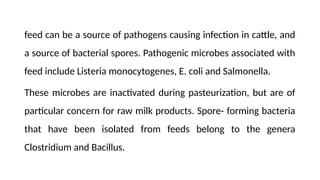 feed can be a source of pathogens causing infection in cattle, and
a source of bacterial spores. Pathogenic microbes associated with
feed include Listeria monocytogenes, E. coli and Salmonella.
These microbes are inactivated during pasteurization, but are of
particular concern for raw milk products. Spore- forming bacteria
that have been isolated from feeds belong to the genera
Clostridium and Bacillus.
 