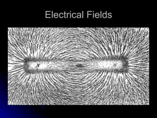 Electrical Fields 