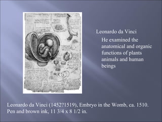 Leonardo da Vinci (1452?1519), Embryo in the Womb, ca. 1510. Pen and brown ink, 11 3/4 x 8 1/2 in.  He examined the anatomical and organic functions of plants animals and human beings  Leonardo da Vinci  