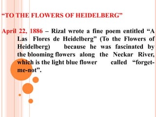 “TO THE FLOWERS OF HEIDELBERG”
April 22, 1886 – Rizal wrote a fine poem entitled “A
Las Flores de Heidelberg” (To the Flowers of
Heidelberg) because he was fascinated by
the blooming flowers along the Neckar River,
which is the light blue flower called “forget-
me-not”.
 