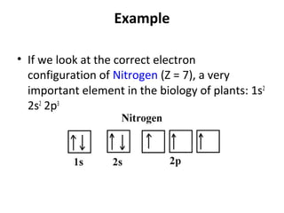 Example

• If we look at the correct electron
  configuration of Nitrogen (Z = 7), a very
  important element in the biology of plants: 1s2
  2s2 2p3
 