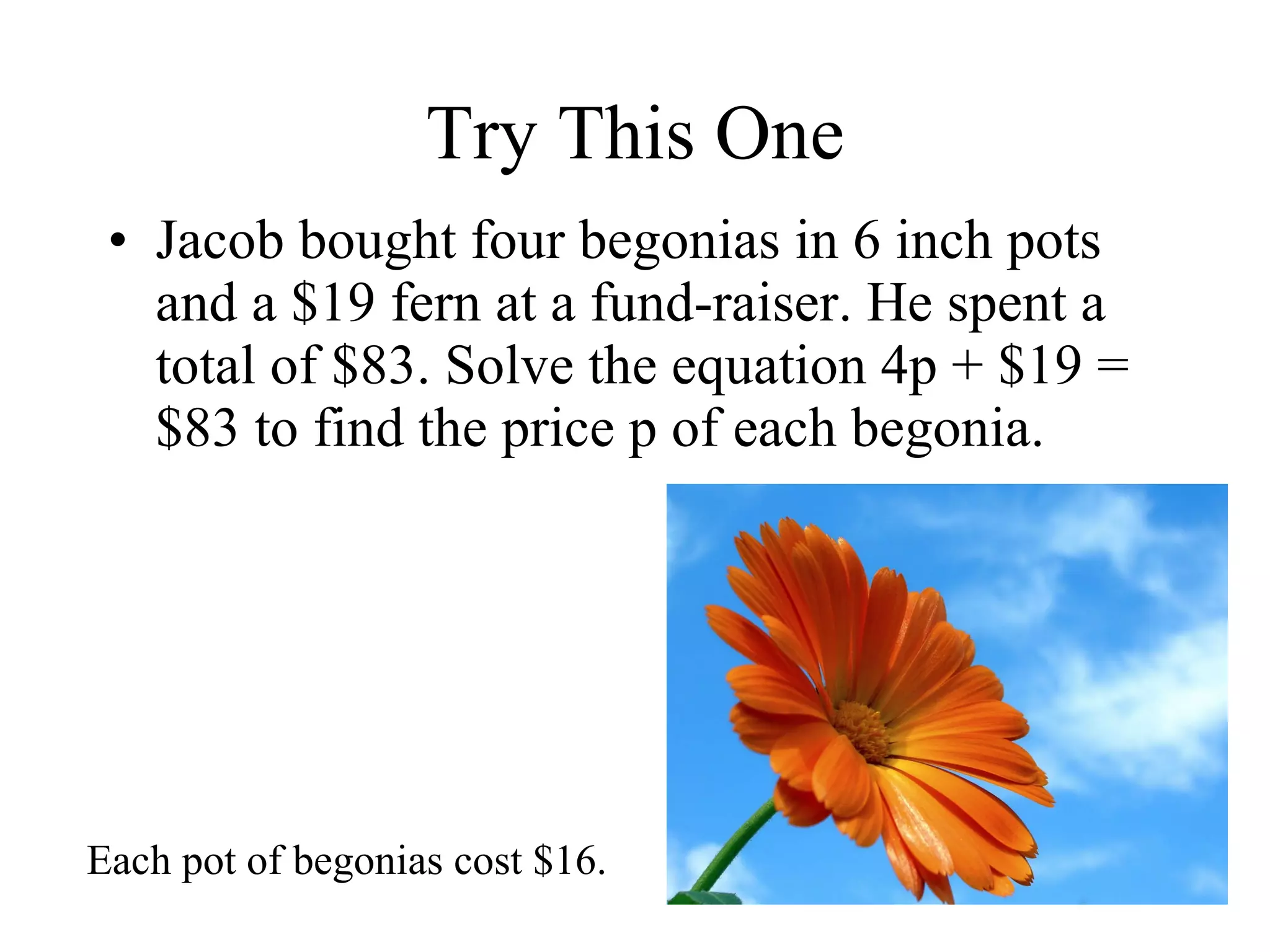 Try This One Jacob bought four begonias in 6 inch pots and a $19 fern at a fund-raiser. He spent a total of $83. Solve the equation 4p + $19 = $83 to find the price p of each begonia. Each pot of begonias cost $16. 
