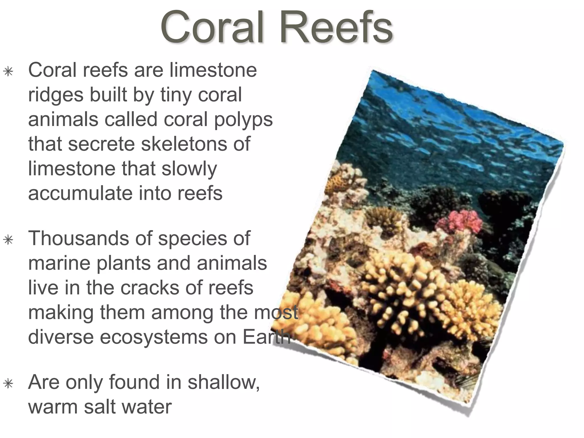 Coral Reefs
Coral reefs are limestone
ridges built by tiny coral
animals called coral polyps
that secrete skeletons of
limestone that slowly
accumulate into reefs
Thousands of species of
marine plants and animals
live in the cracks of reefs
making them among the most
diverse ecosystems on Earth
Are only found in shallow,
warm salt water
 