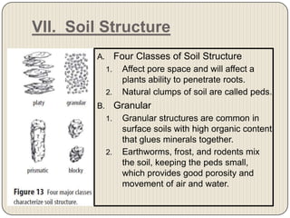 Chapter 7 section 2 (nature of soil) | PPTX