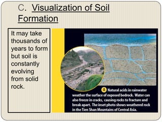 Chapter 7 section 2 (nature of soil) | PPTX