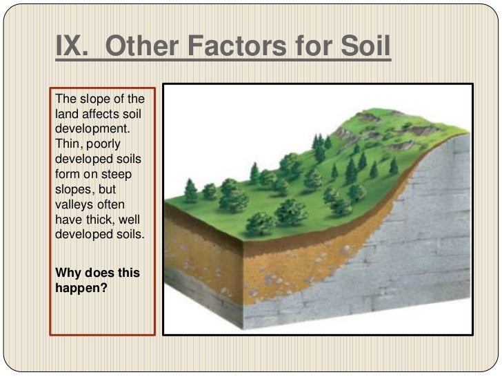 Chapter 7 section 2 (nature of soil)