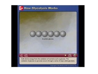 Please note that due to differing operating systems, some animations will not appear until the presentation is viewed in Presentation Mode (Slide Show view). You may see blank slides in the “Normal” or “Slide Sorter” views. All animations will appear after viewing in Presentation Mode and playing each animation. Most animations will require the latest version of the Flash Player, which is available at http://get.adobe.com/flashplayer. 